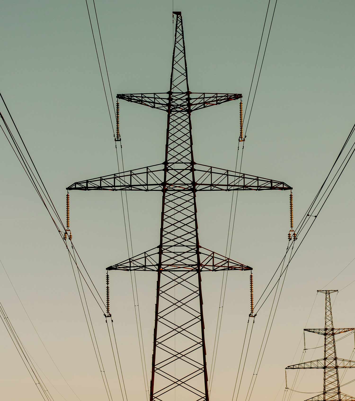 Digital twin of the electrical grid