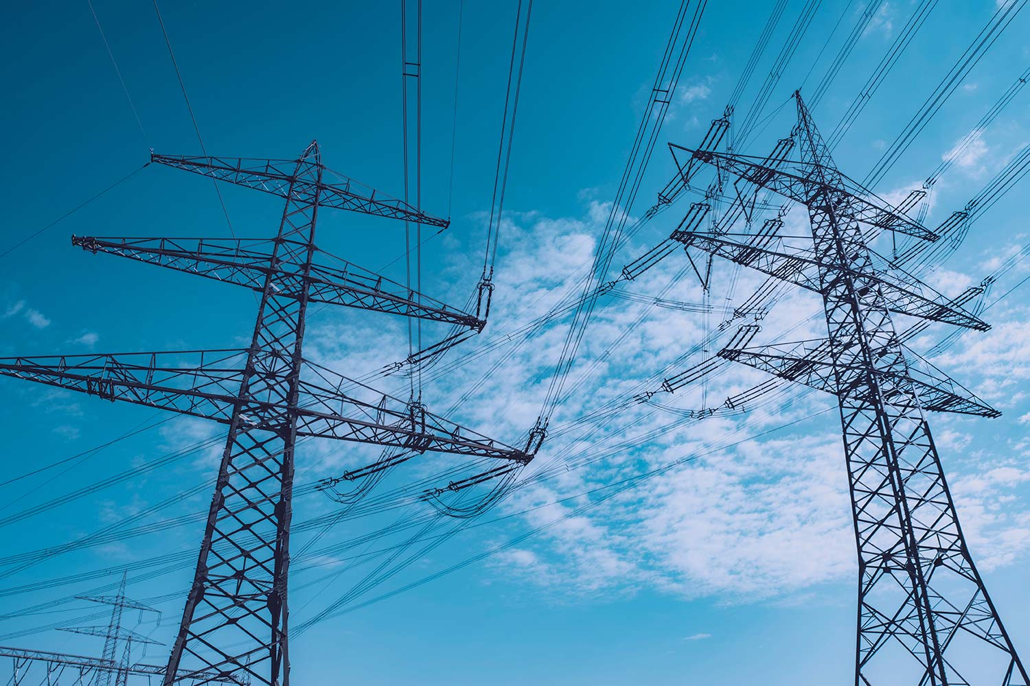 Asset management strategy for the electrical grid